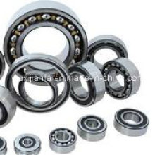 Roller Shutter Deep Groove Ball Bearing